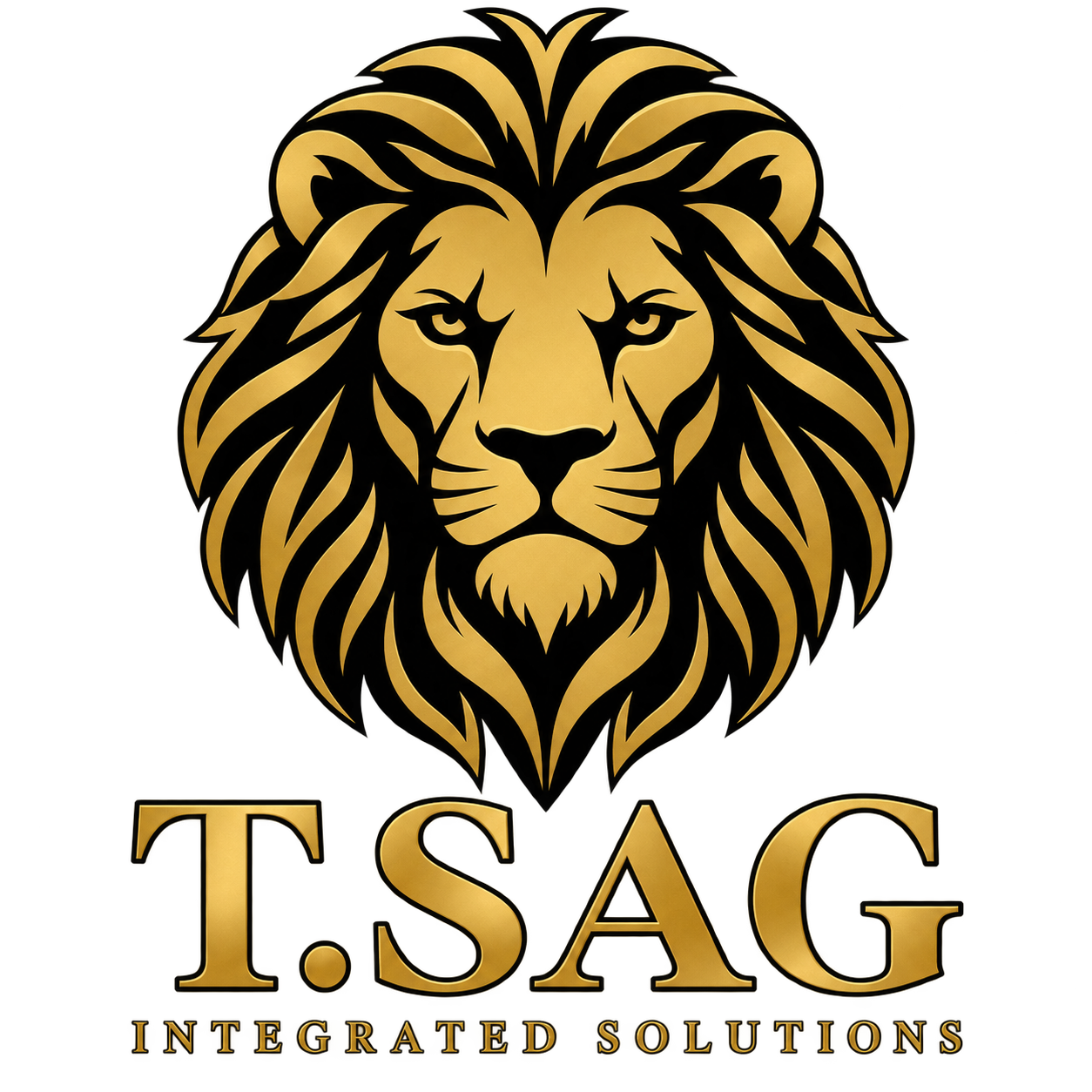 T.SAG Integrated Solutions